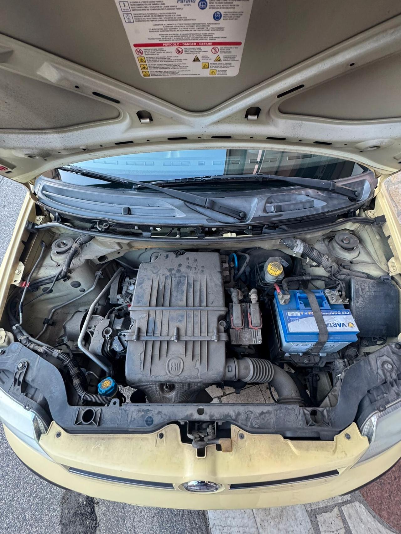 Fiat Panda 1.2 Active 69 cv E5, UNIPRO, OK NEOPATENTATI, DISTRIBUZIONE APPENA ESEGUITA