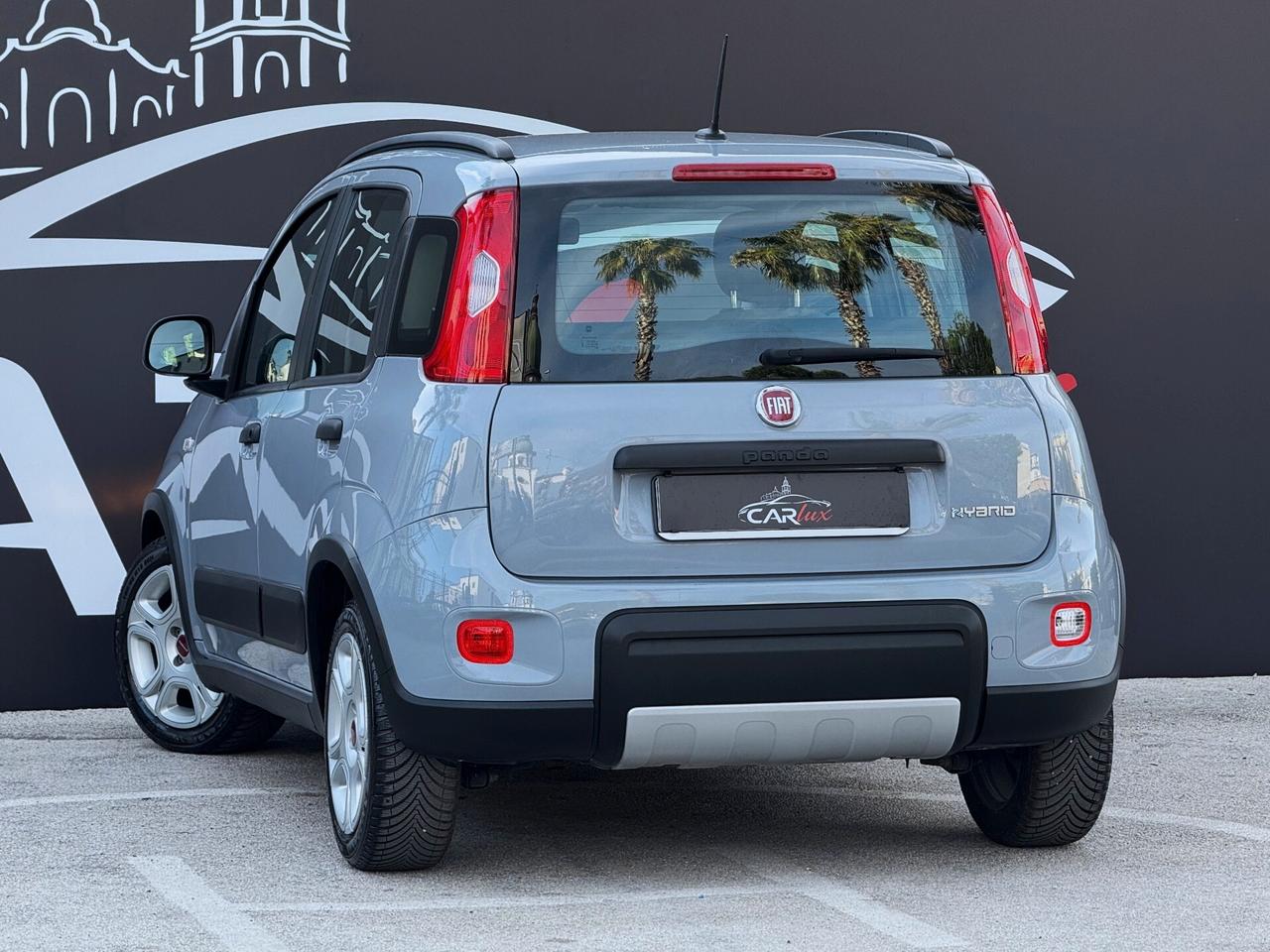 Fiat Panda 1.0 Firefly Hybrid City Life S 70CV IVA ESP