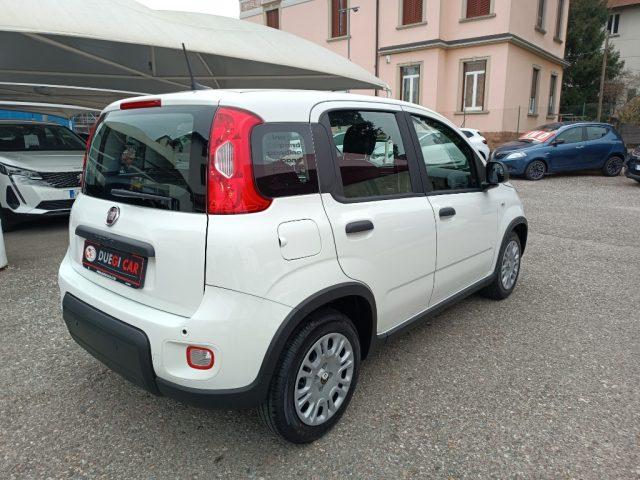 FIAT Panda 1.0 FireFly S&S Hybrid Pandina