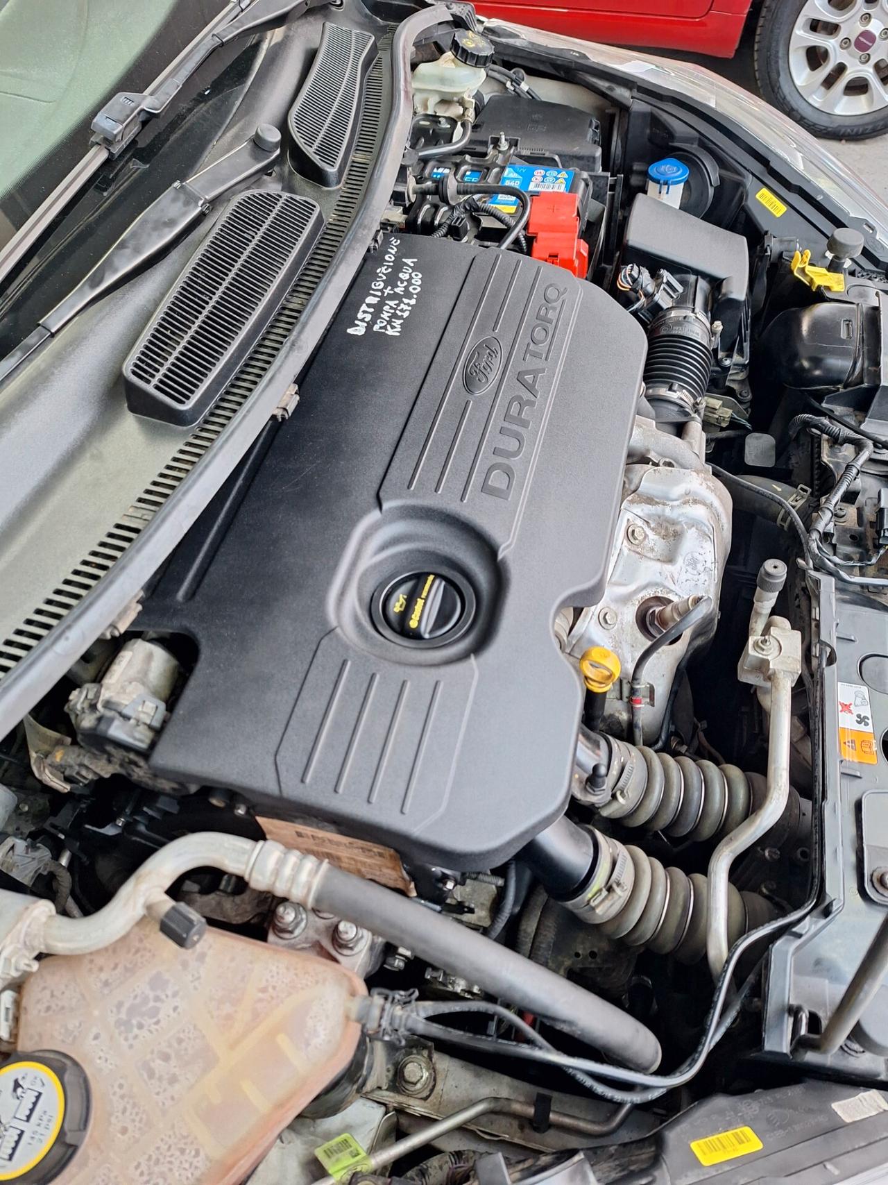 Ford Fiesta 1.5 TDCi 75CV 5 porte Black & White Edition E6