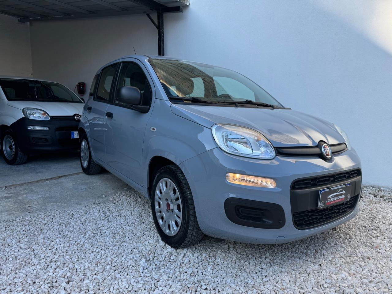 Fiat Panda 1.2 Lounge 69cv OK Neopatentati