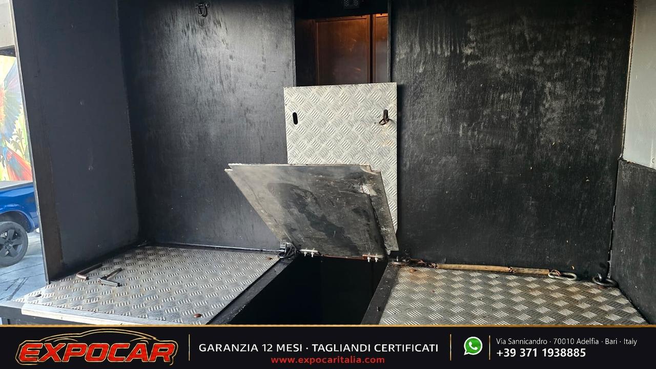 Iveco Daily - Trasporto Cavalli