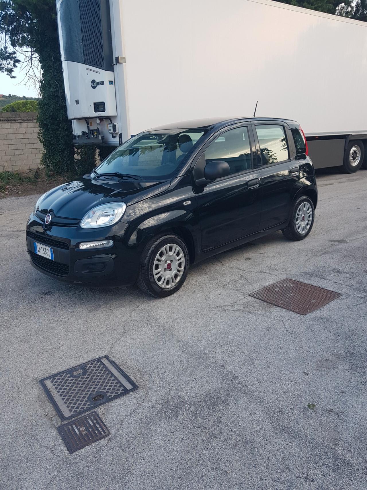 Fiat Panda 1.0 FireFly S&S Hybrid Launch Edition