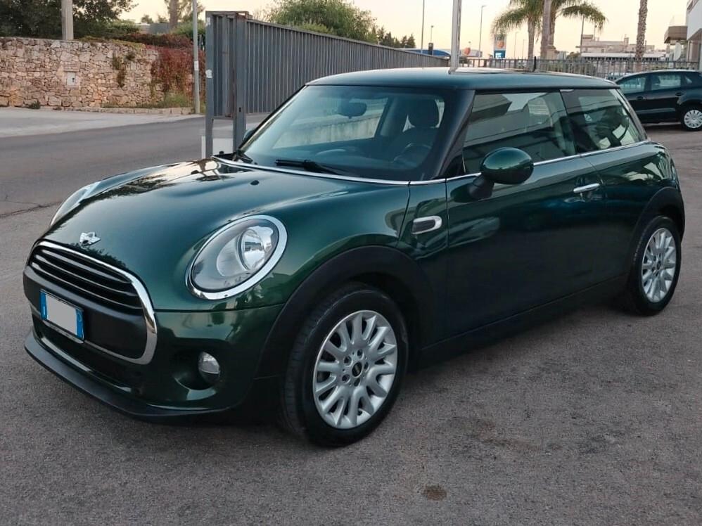 Mini 1.5 One D