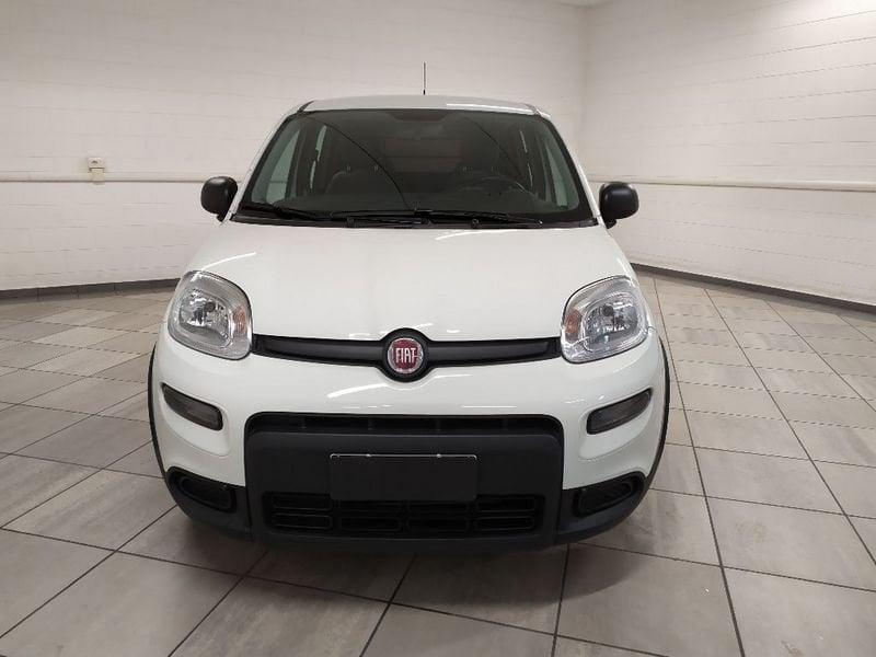 FIAT Panda van 1.0 hybrid Street 70cv 4p.ti serie 4 E6d