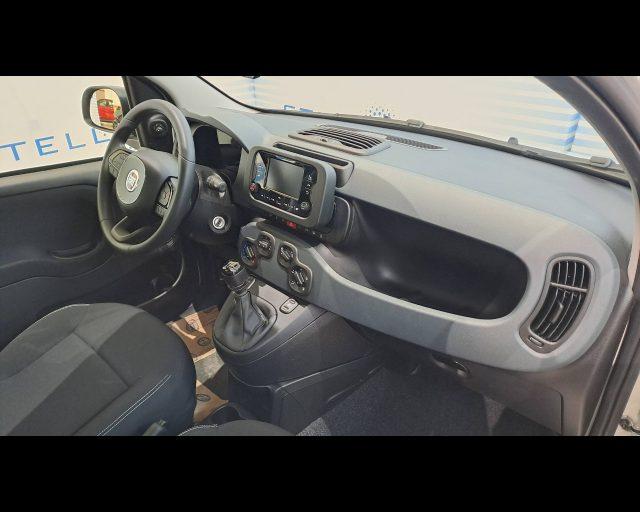 FIAT Panda 1.0 firefly hybrid Icon s&s 70cv 5p.ti
