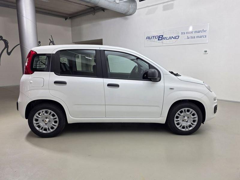 FIAT Pandina Pandina 1.0 firefly hybrid Icon s&s 65cv con BONUS EASY GO'