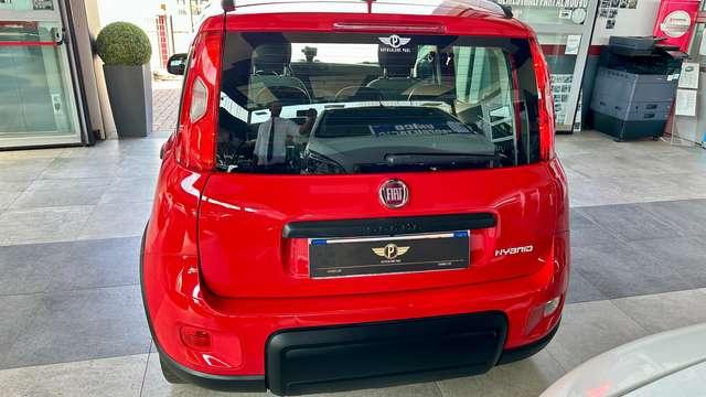 Fiat Panda 1.0 firefly hybrid 70CV S&S City Life+Neopatente