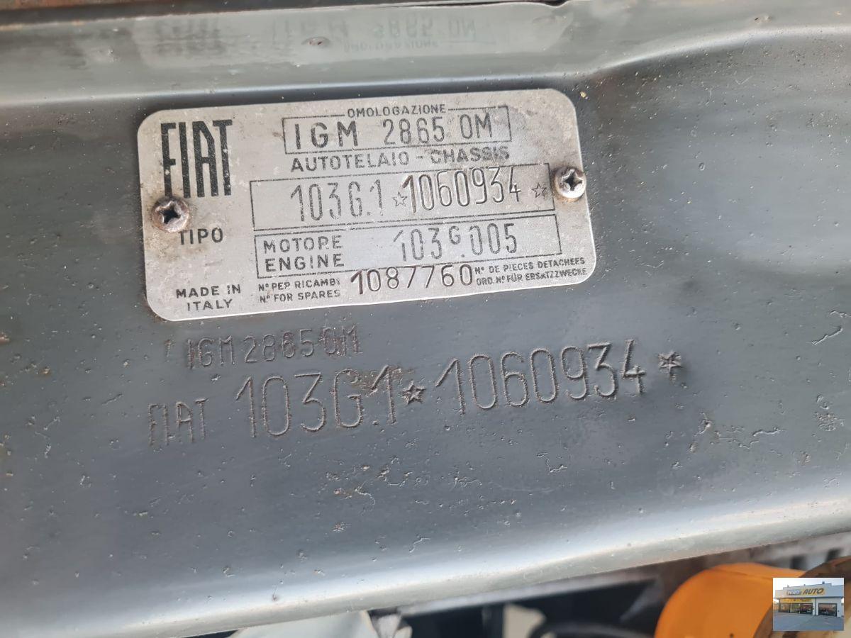 FIAT 1100