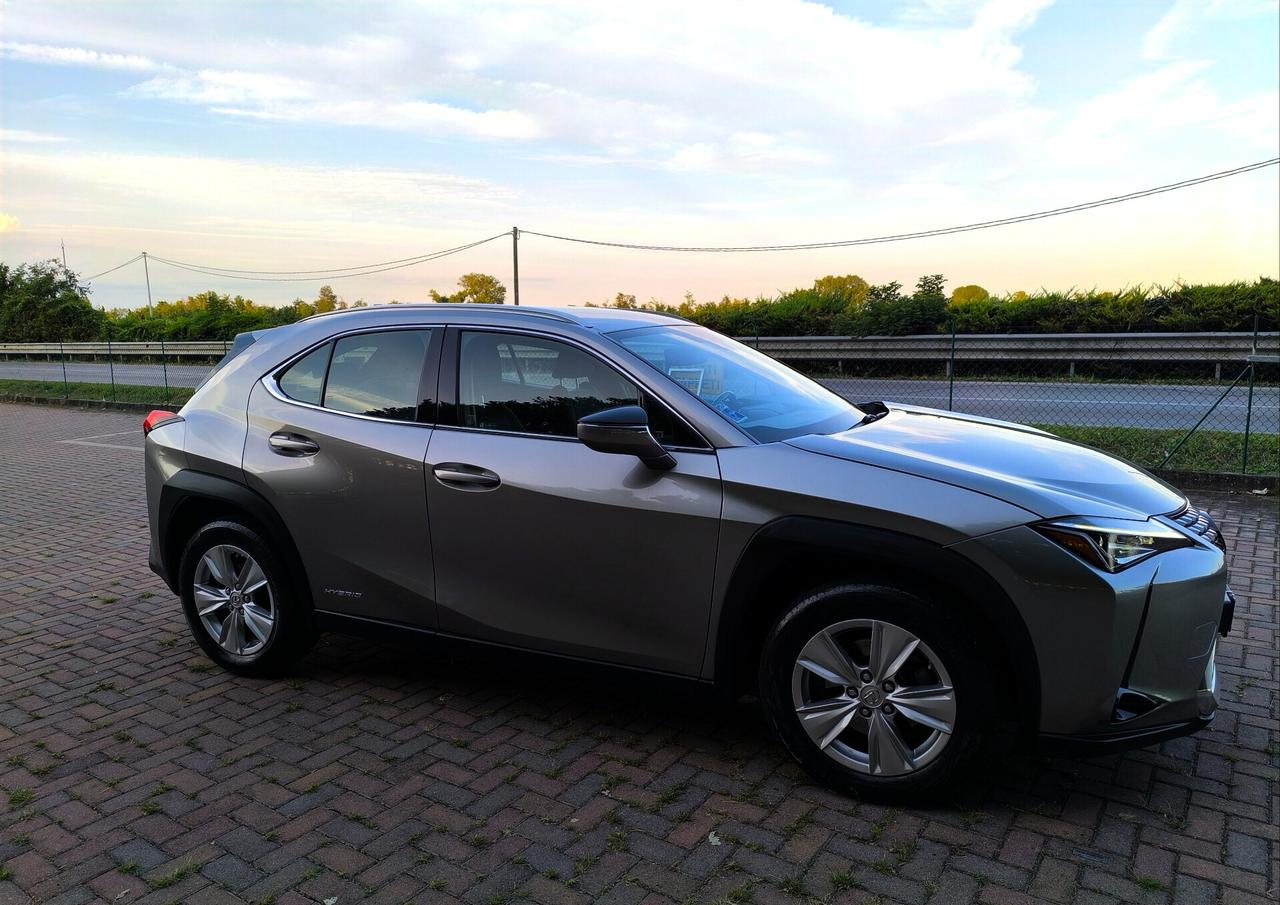 Lexus UX Hybrid Business