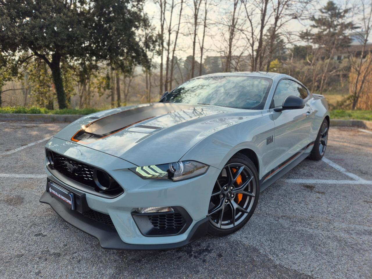 Ford Mustang MACH 1