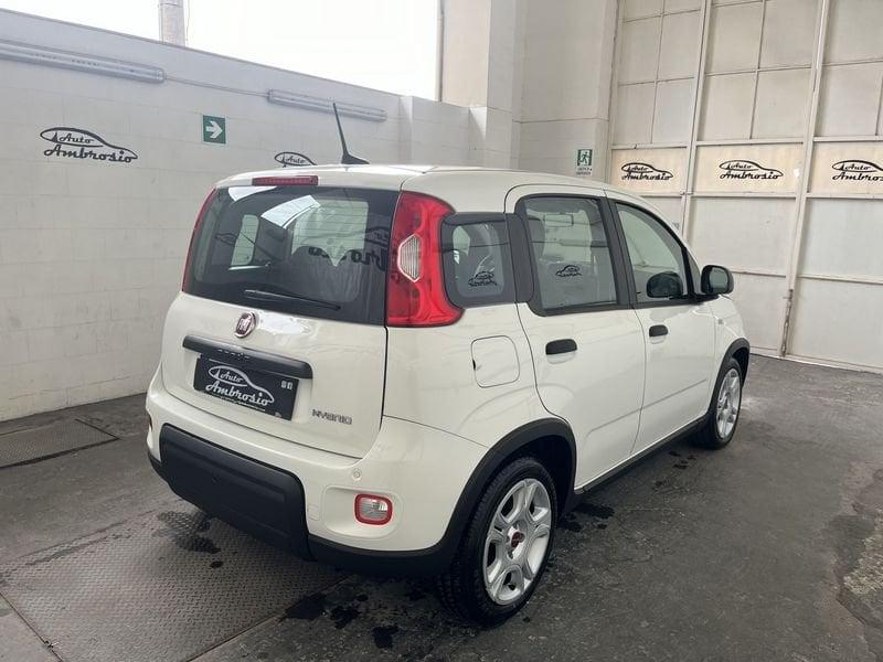 FIAT Panda Panda 1.0 firefly hybrid s&s 70cv