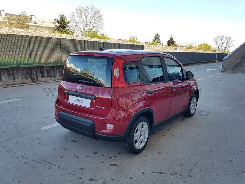 FIAT Panda My24 1.0 Hybrid 70cv