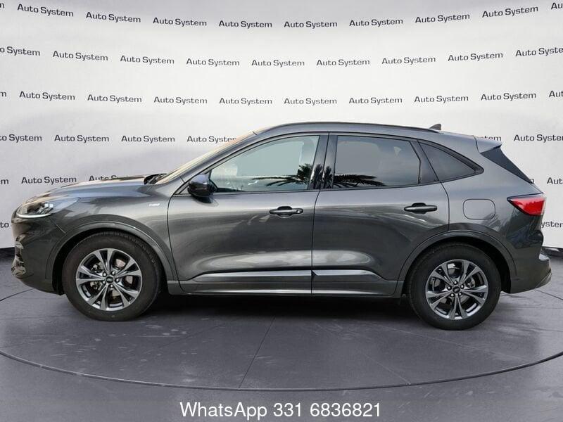 Ford Kuga Kuga 1.5 EcoBlue 120 CV 2WD ST-Line