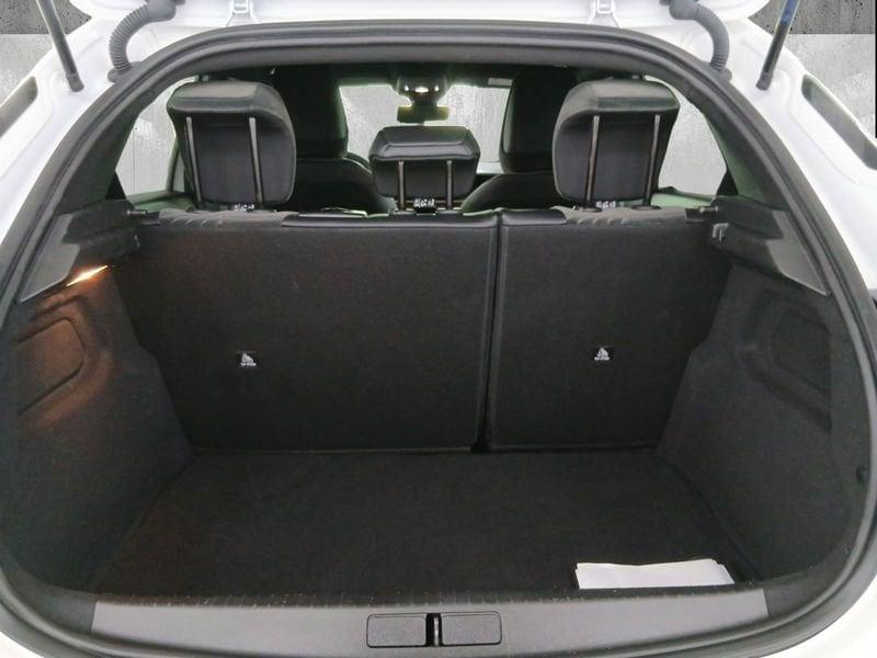 Lancia Ypsilon 1.2 mhev LX 110cv e-dct