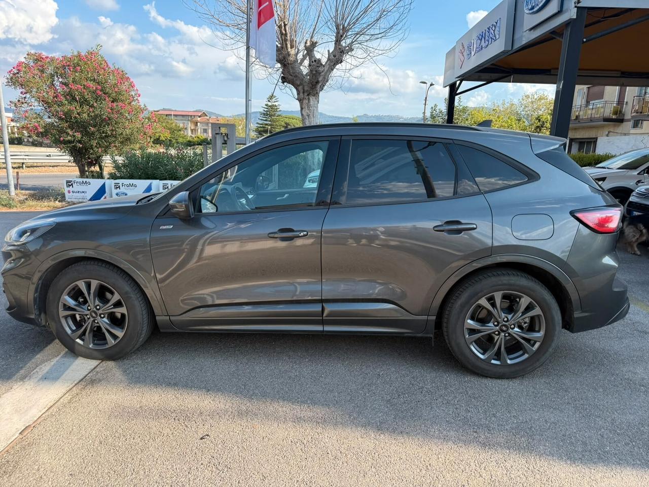 Ford Kuga 1.5 EcoBlue 120 CV aut. 2WD ST-Line