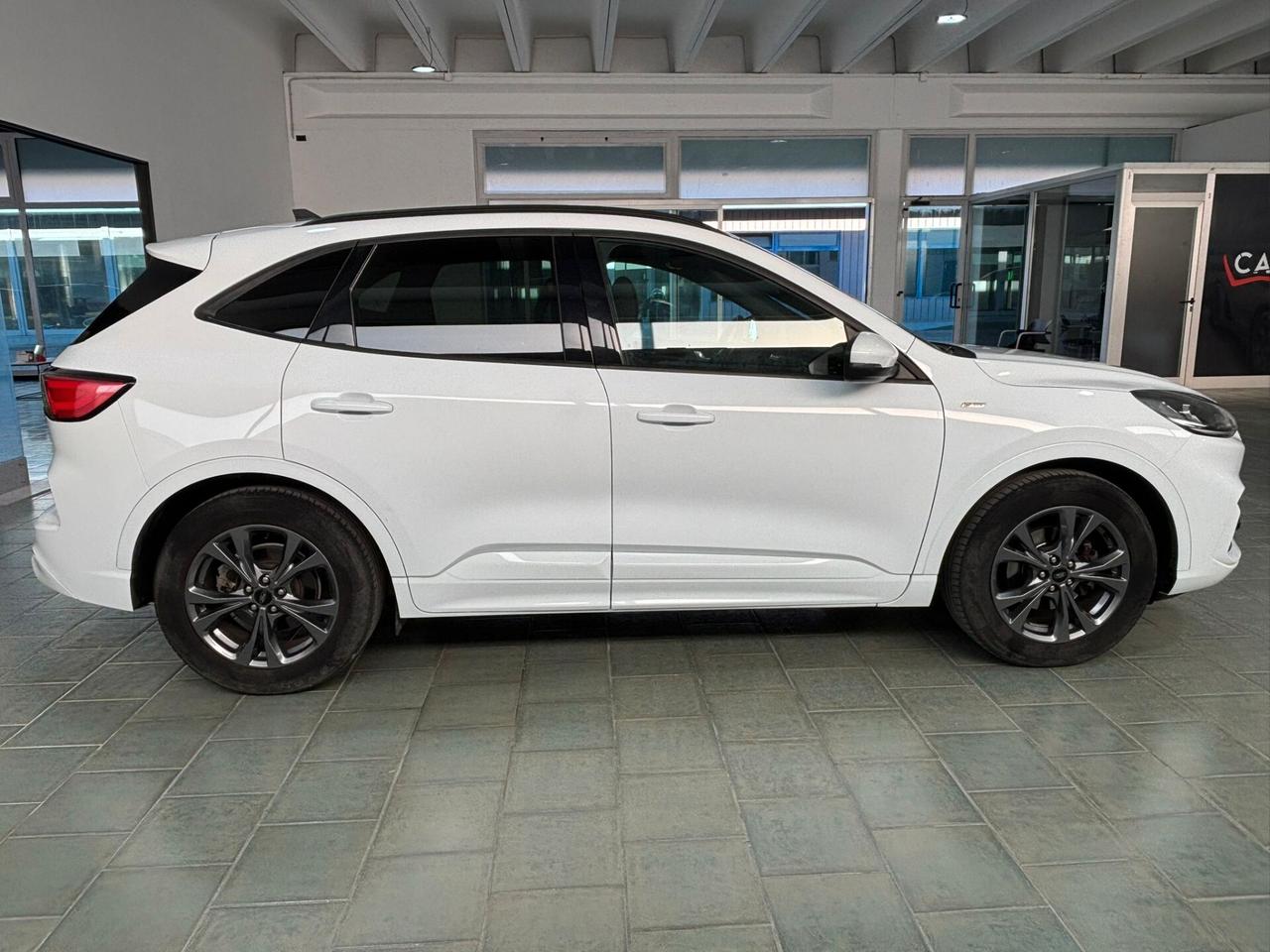Ford Kuga 1.5 EcoBlue 120 CV 2WD ST-Line