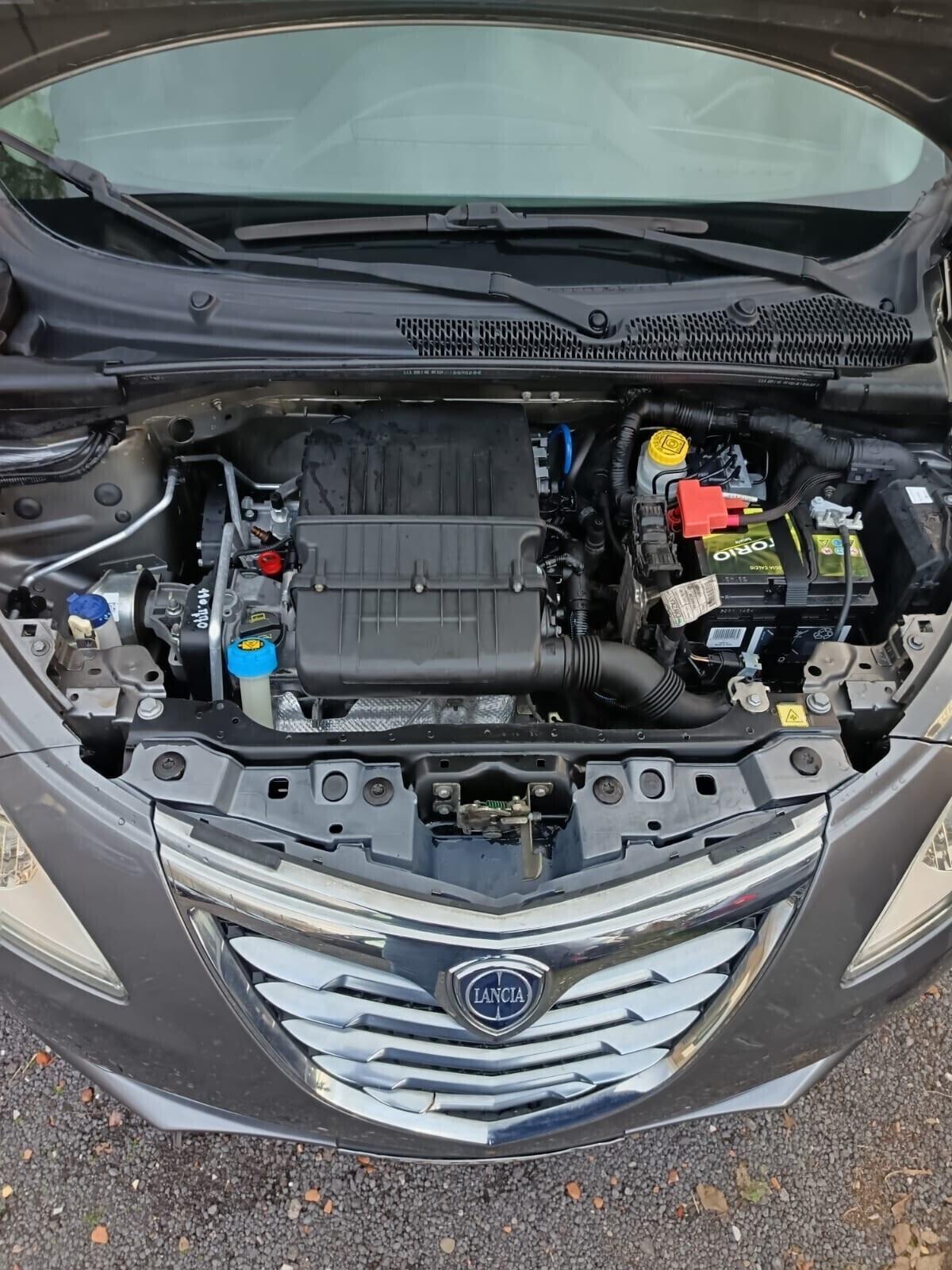 Lancia Ypsilon 1.2 69 CV 5 porte ok neopatentati