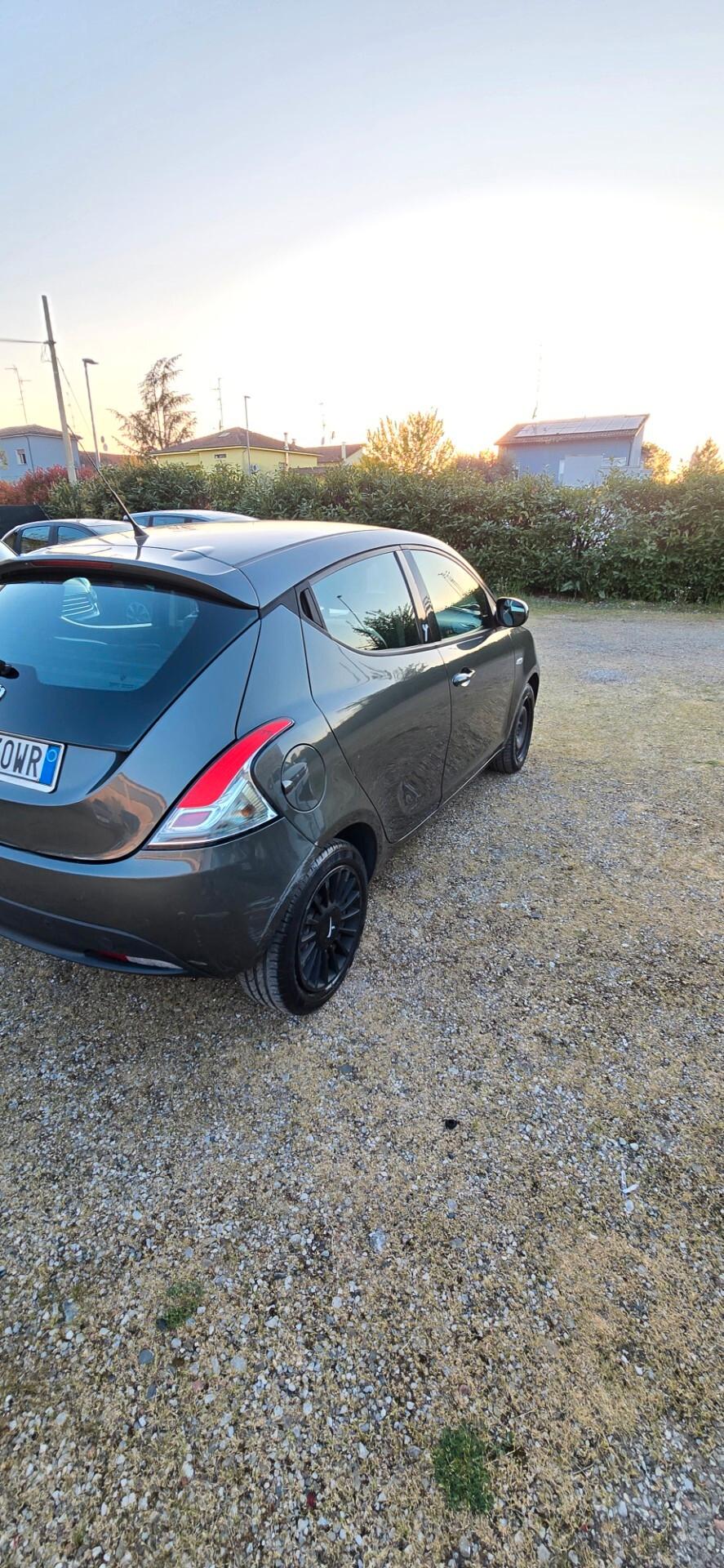 Lancia Ypsilon 1.3 MJT 16V 95 CV 5 porte S&S Elefantino