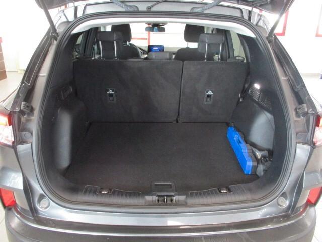 Ford Kuga 1.5 EcoBlue 120 CV aut. 2WD Titanium Business