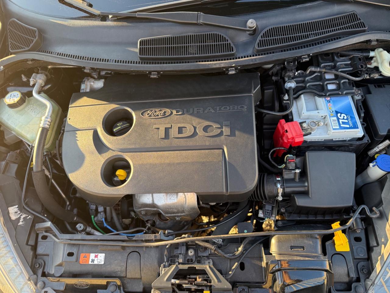 Ford Fiesta 1.4 TDCi 5p. Titanium