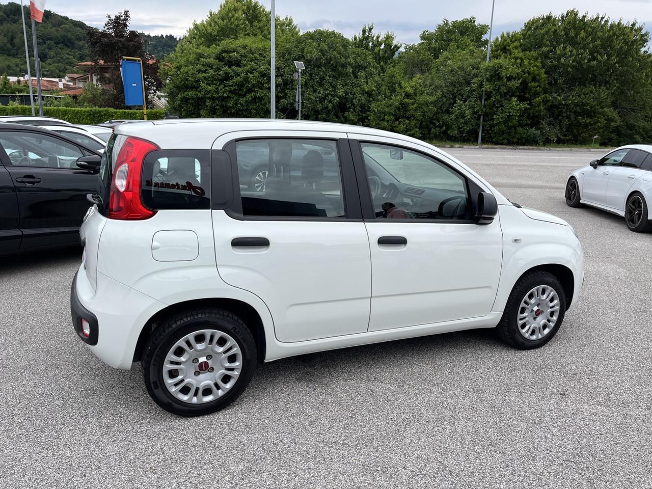 FIAT PANDA 1200 CC 69 CV EASY