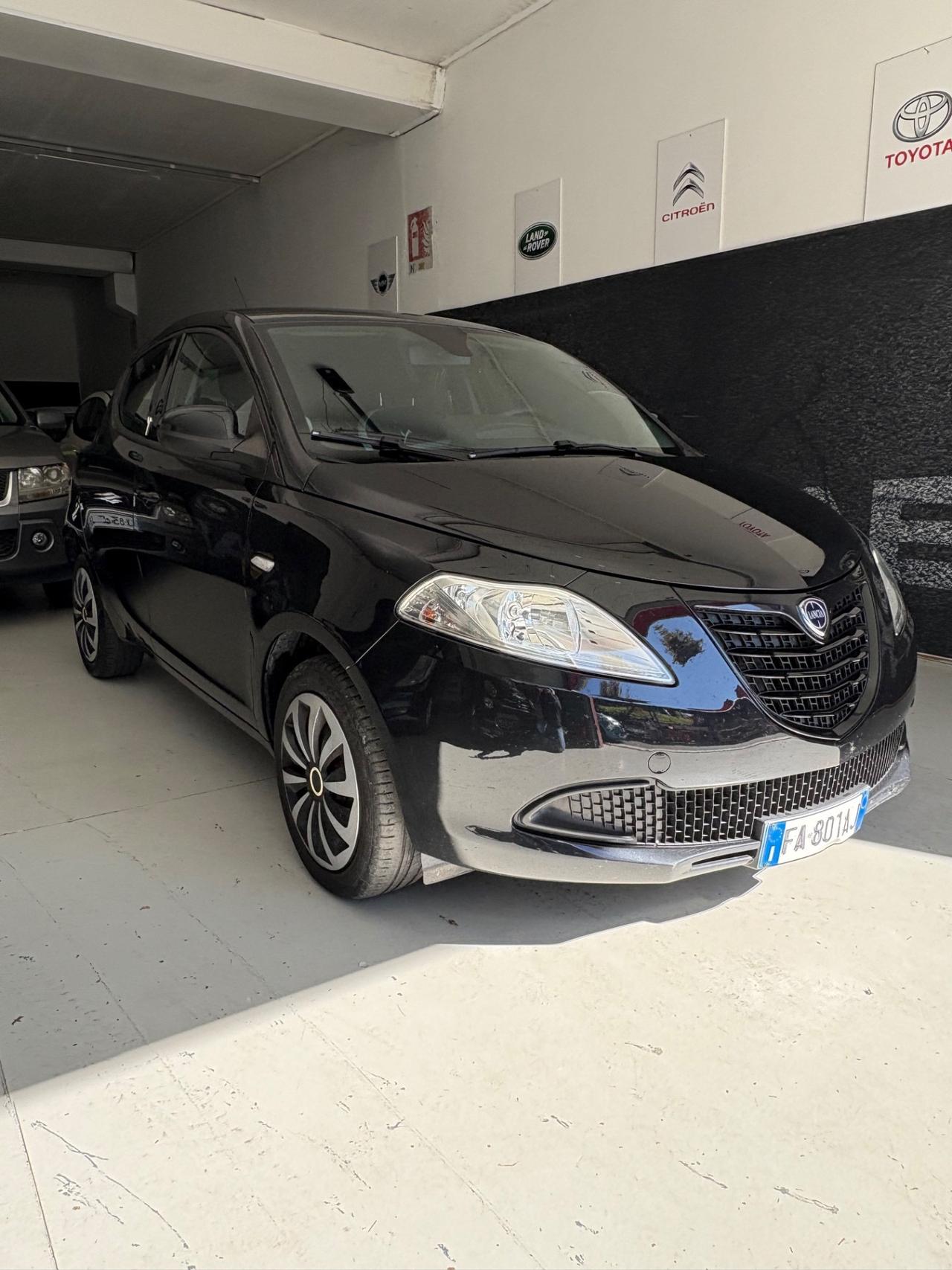 Lancia Ypsilon 1.2 69 CV 5 porte Elefantino