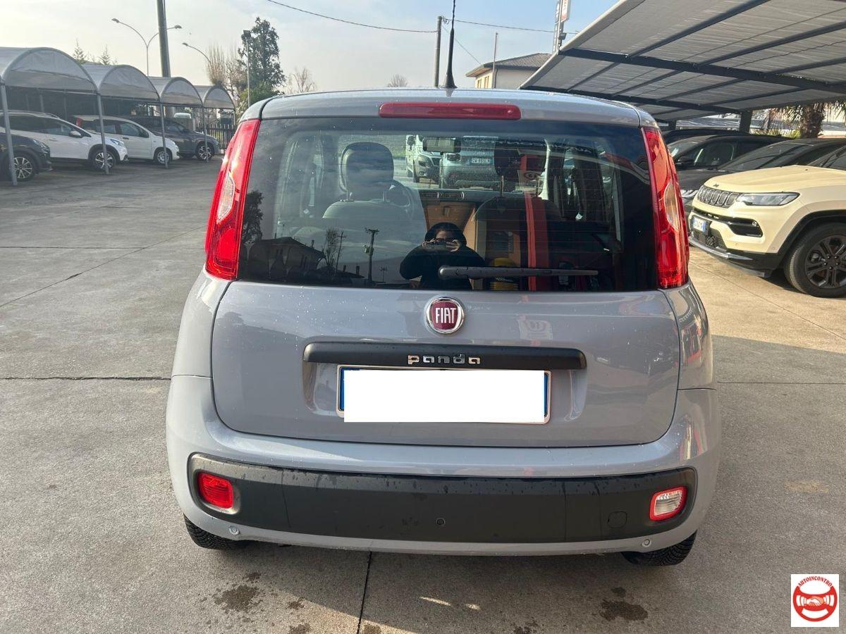FIAT - Panda 1.2 Easy easypower Gpl 69cv my19