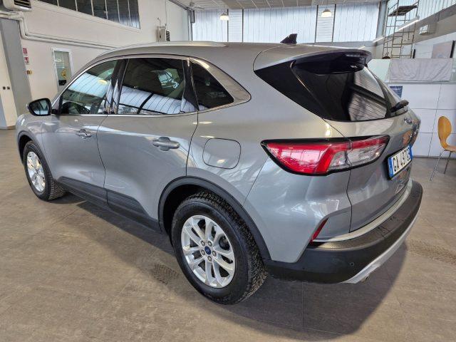 FORD Kuga 1.5 EcoBlue 120 CV 2WD Titanium