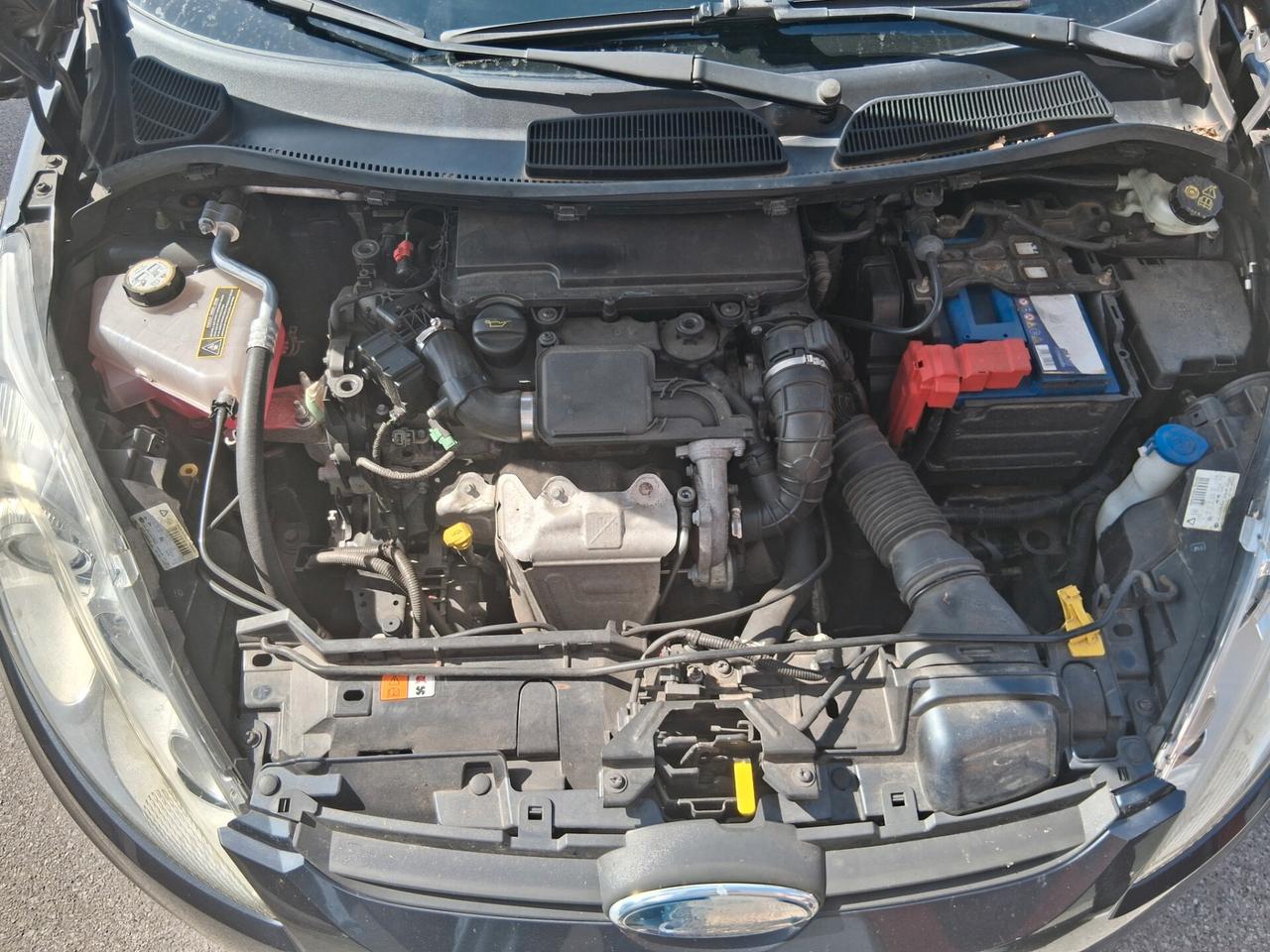 Ford Fiesta 1.4 TDCi 68CV 5 porte Titanium