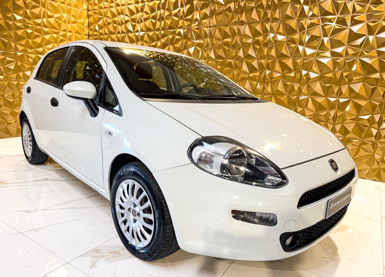 Fiat Punto 1.3 MJT II 75 CV 5 porte Street