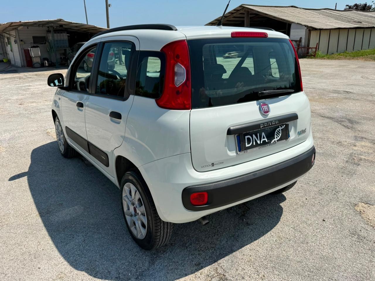 Fiat Panda Natural Power Neopatentati UNIPROPRIETÀ