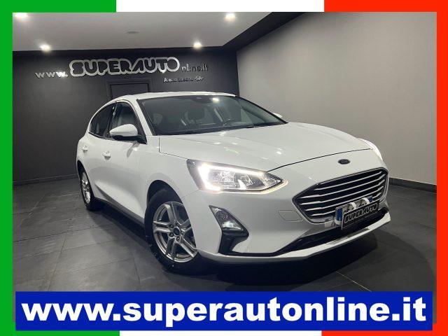 FORD Focus 1.5 EcoBlue 120 CV 5p. Business