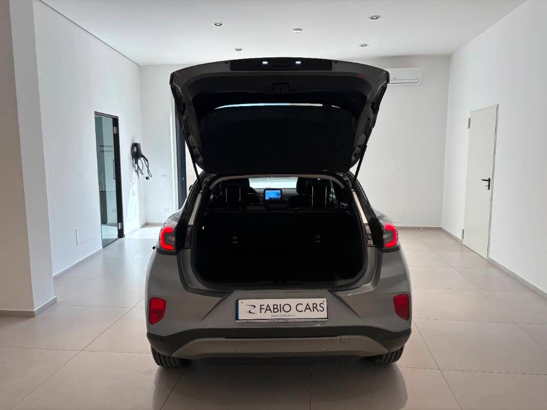 Ford Puma 1.0 ecoboost h Titanium s&s 125cv