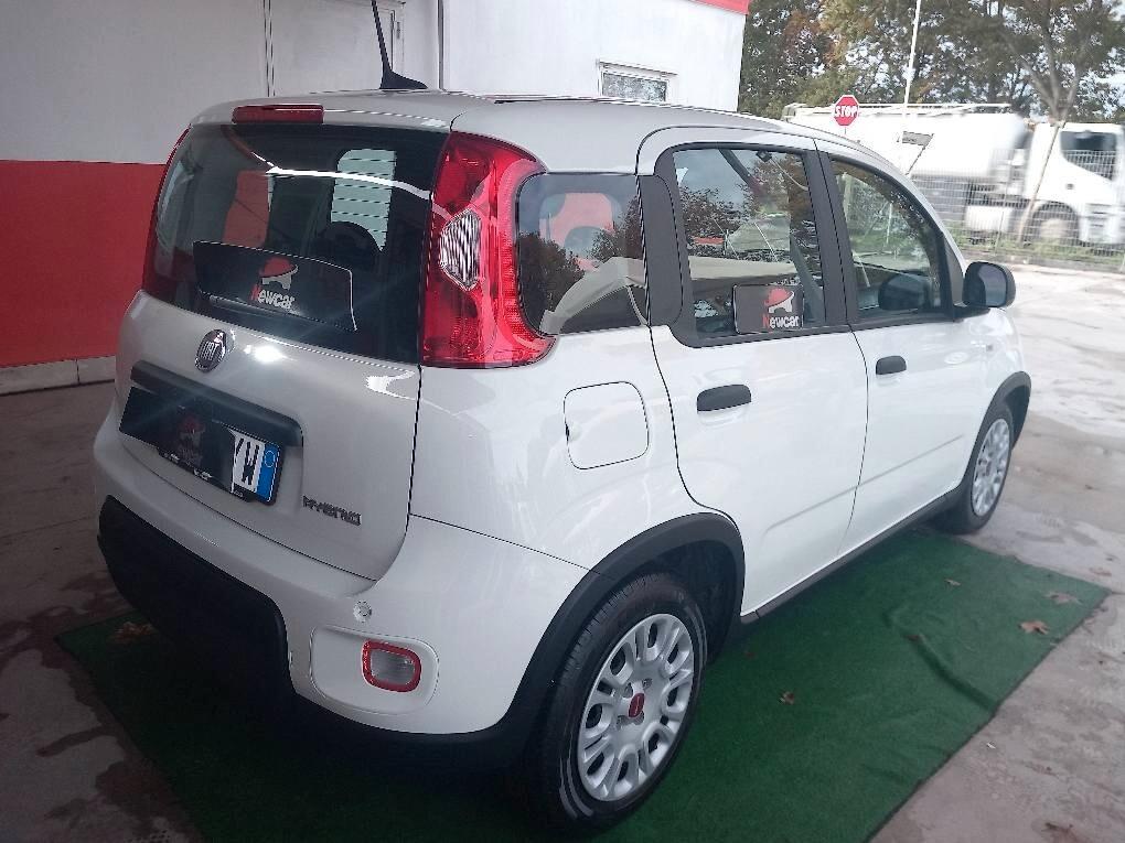 Fiat Panda 1.0 FireFly S&S Hybrid KM 18000 MONITOR SENSORI COMANDI VOLANTE GARANZIA