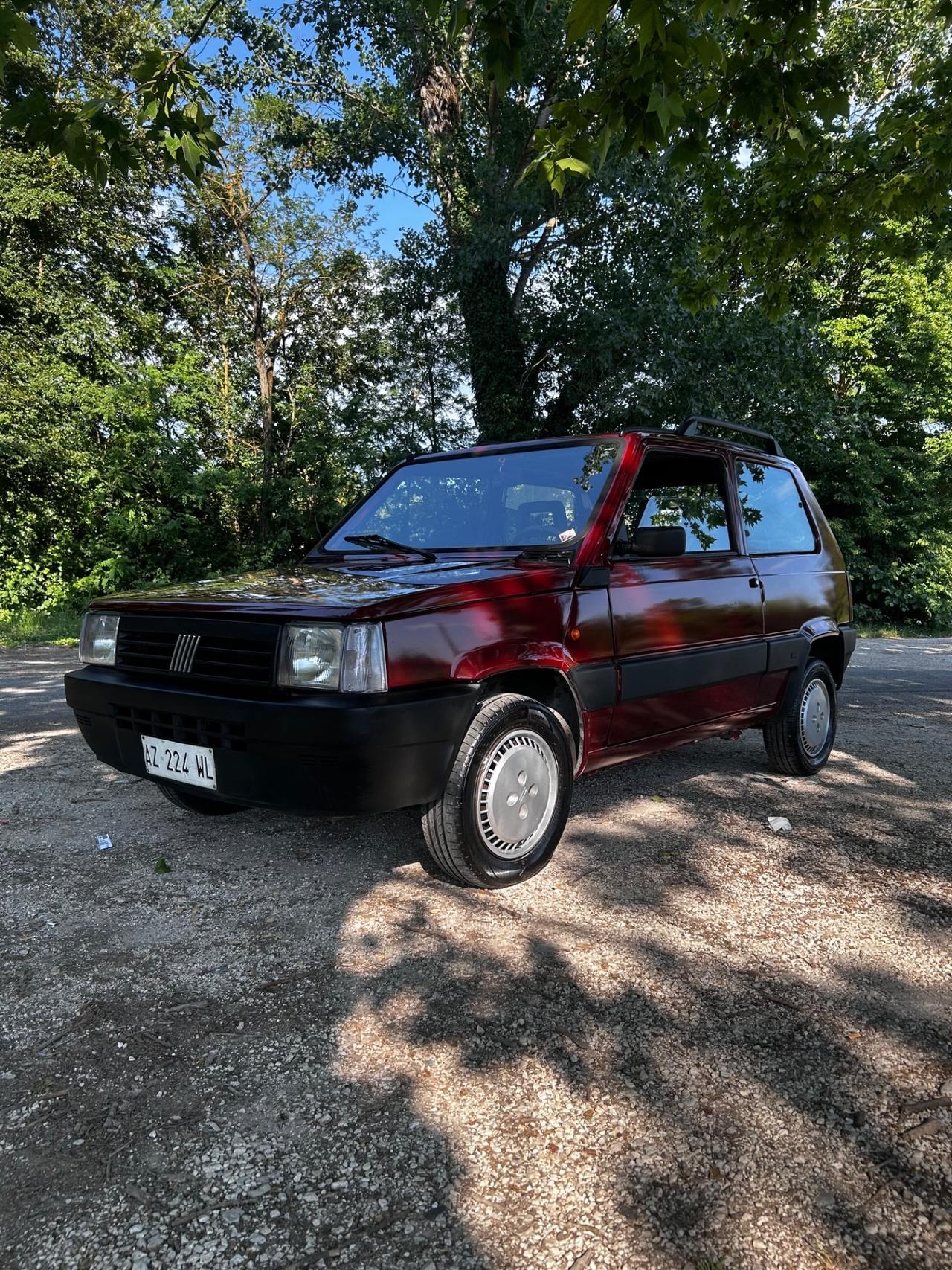 Fiat Panda 1100 i.e. cat Young