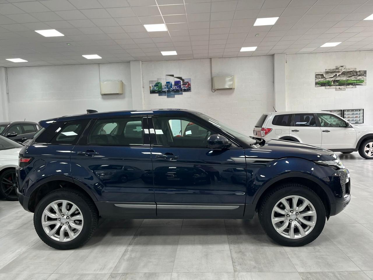 Land Rover Range Rover Evoque 5p 2.0 td4 SE Business edition 150cv auto