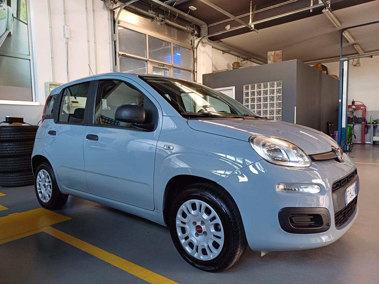 Fiat Panda 1.2 Easy 69CV *** OK NEOPATENTATI ***