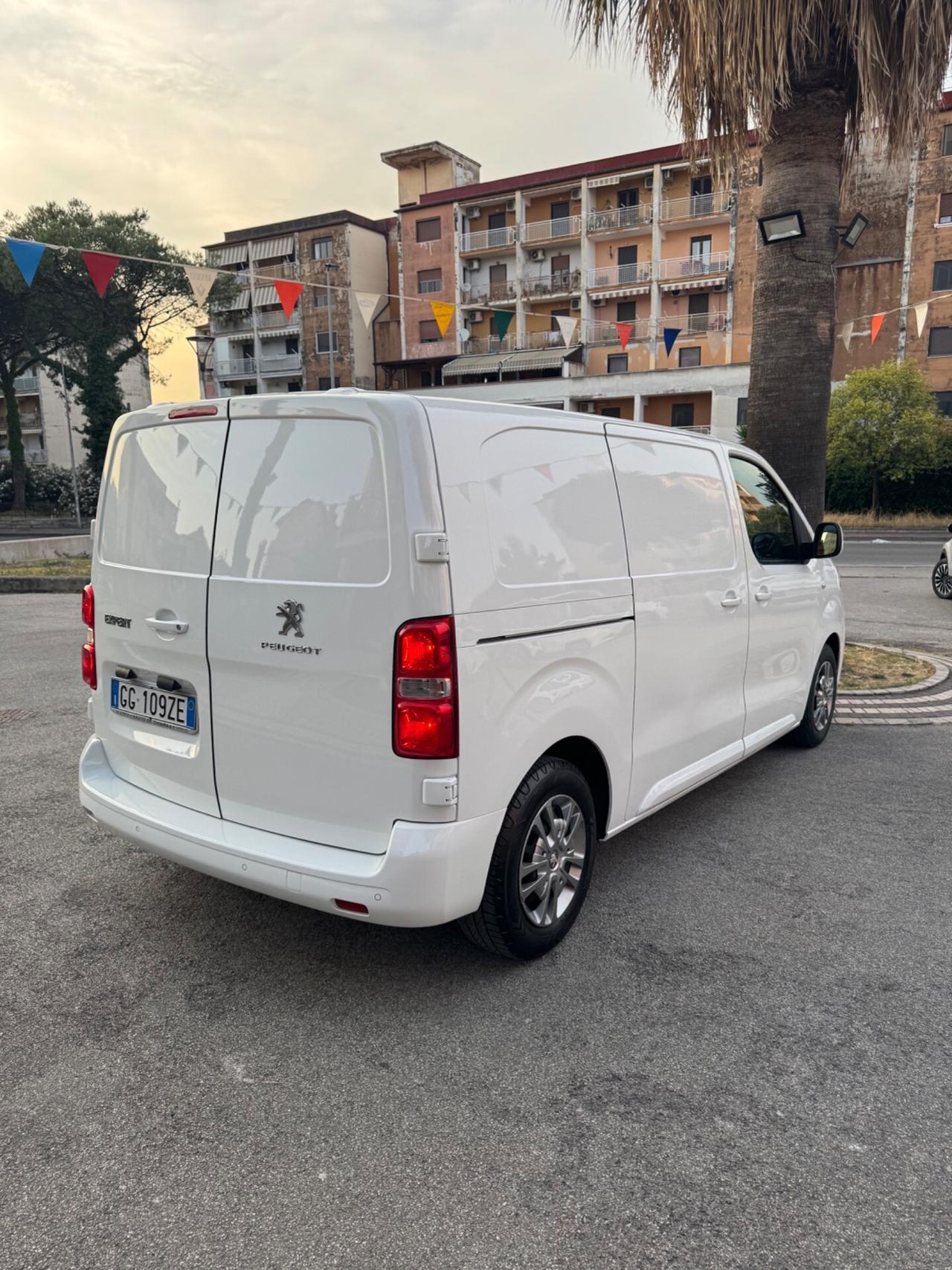 Peugeot Expert BlueHDi 150 S&S PL-TN Furgone Premium Standard