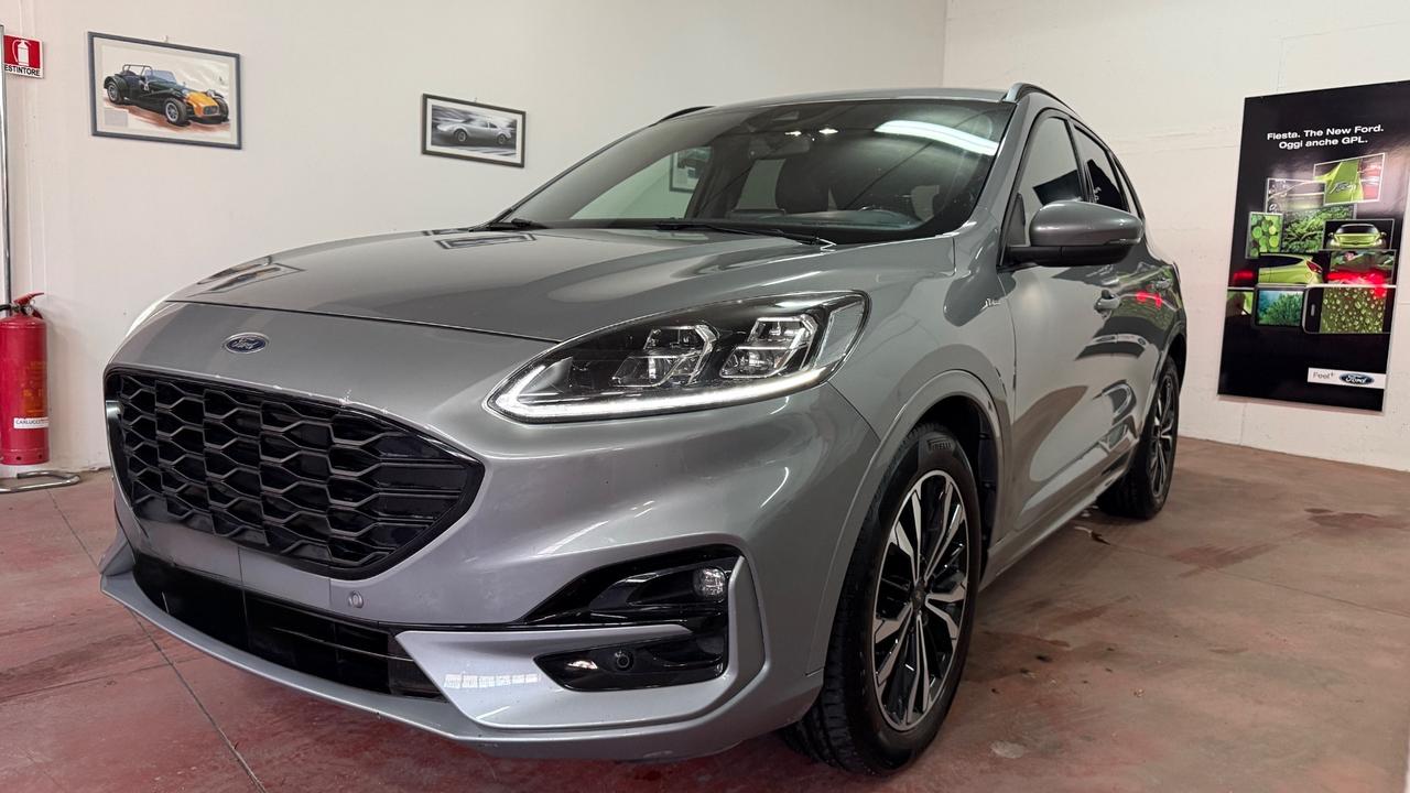 Ford Kuga 2.0 EcoBlue Hybrid 150 CV 2WD St Line X