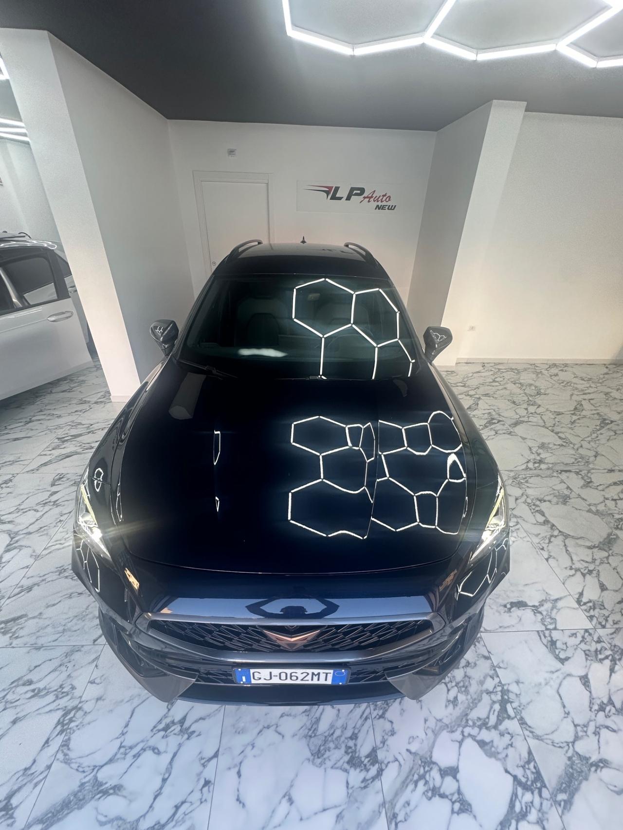 Cupra Formentor 2.0 TDI 4Drive DSG