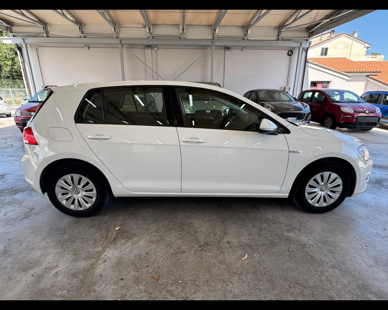 VOLKSWAGEN Golf 7ª serie - Golf 1.4 TGI 5p. Trendline BlueMotion