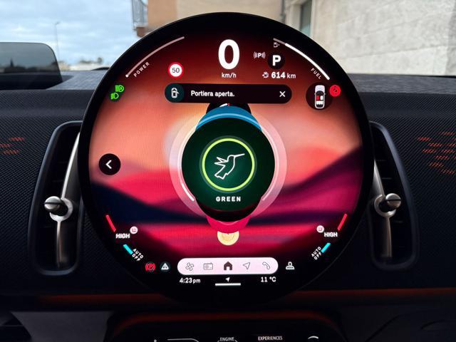 MINI Countryman D Classic Countryman CERCHI DA 19''.