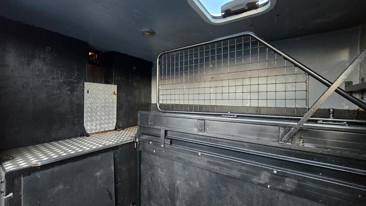 Iveco Daily - Trasporto Cavalli