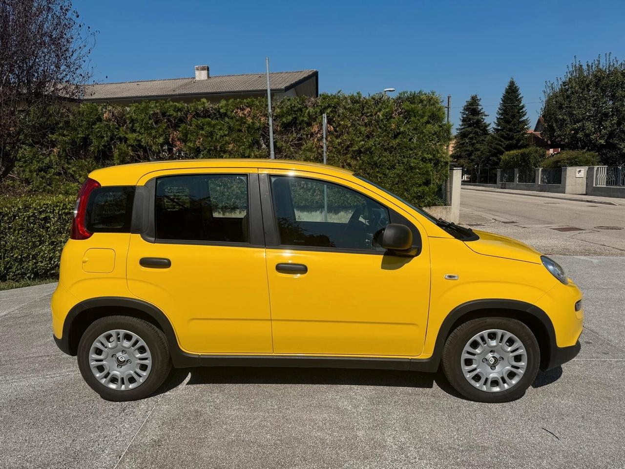 Fiat Panda 1.0 FireFly S&S Hybrid Pandina- 1.516 KM – 2024