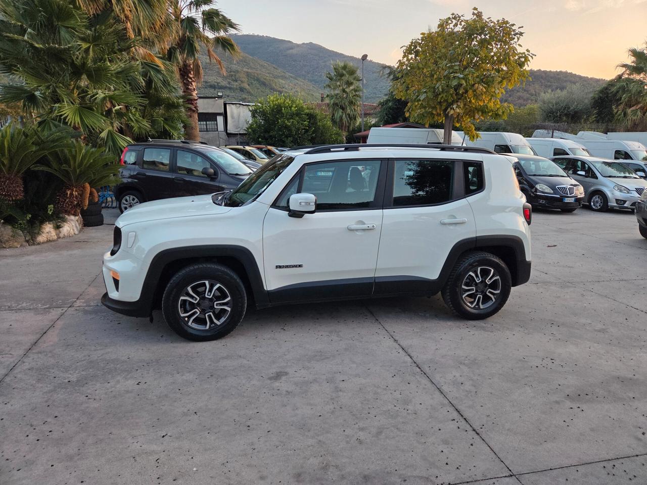 Jeep Renegade 1.6 Mjt 120 CV Longitude - 2019