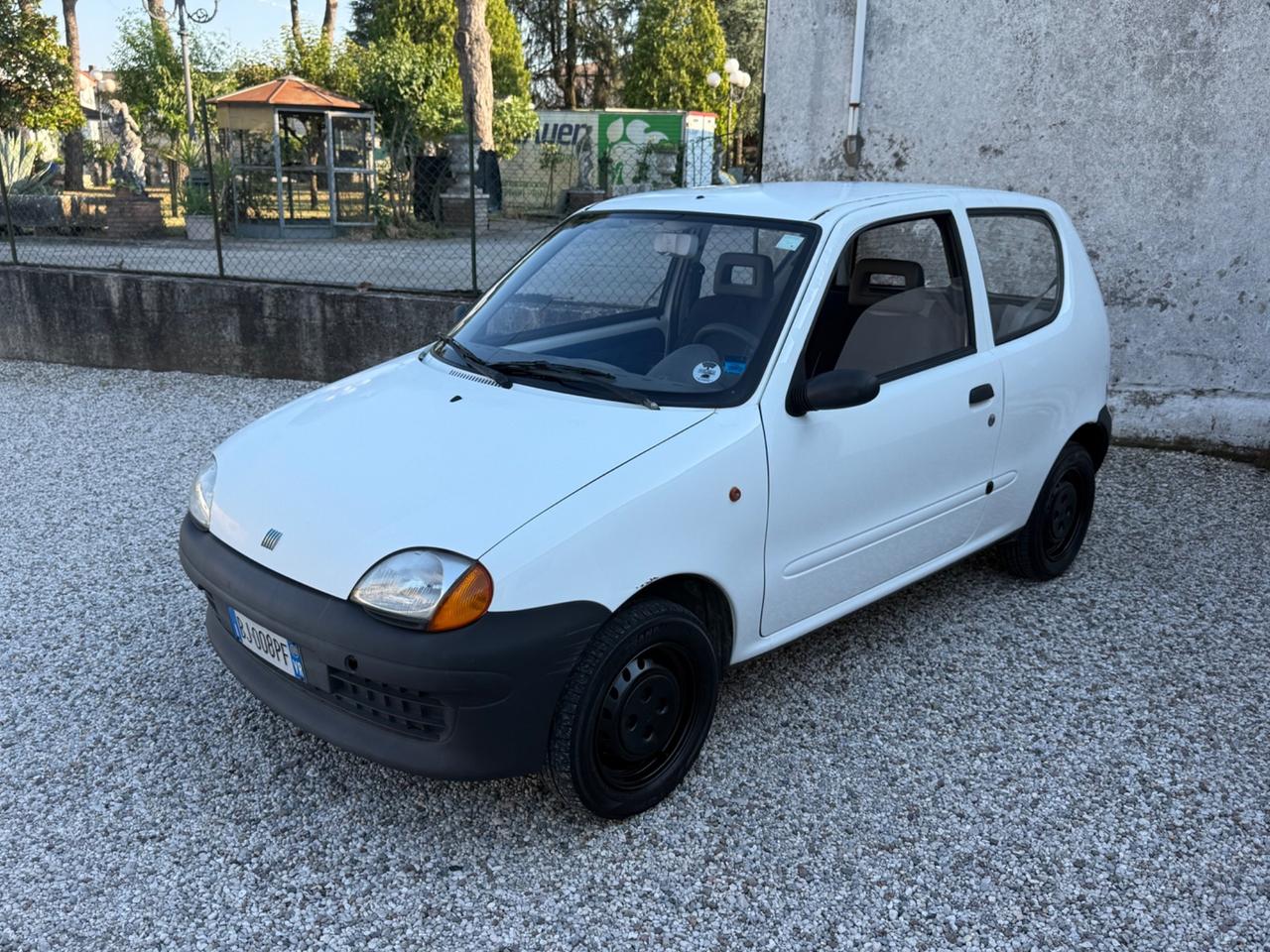 Fiat Seicento 900i cat Young