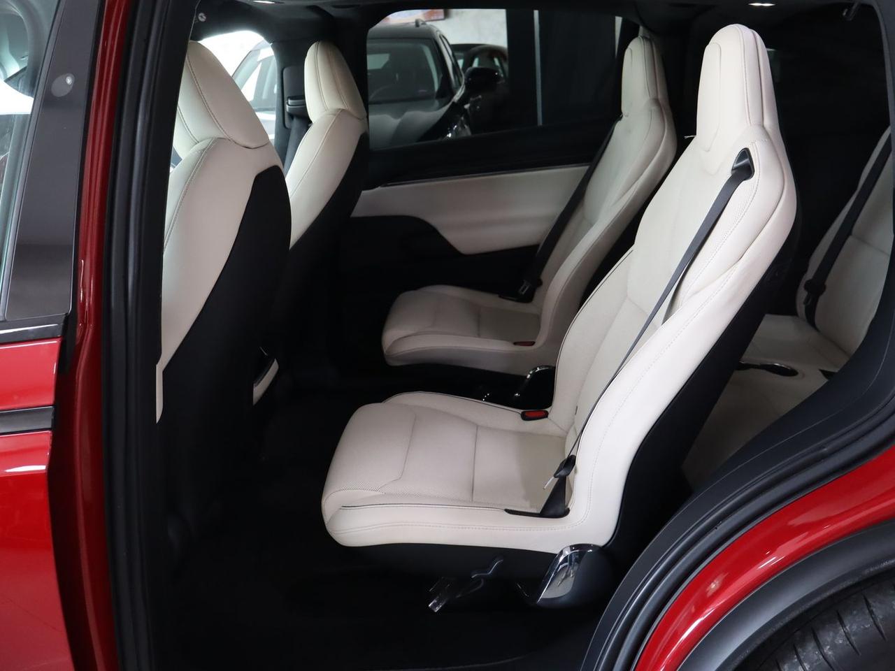 Tesla Model X Plaid #11739