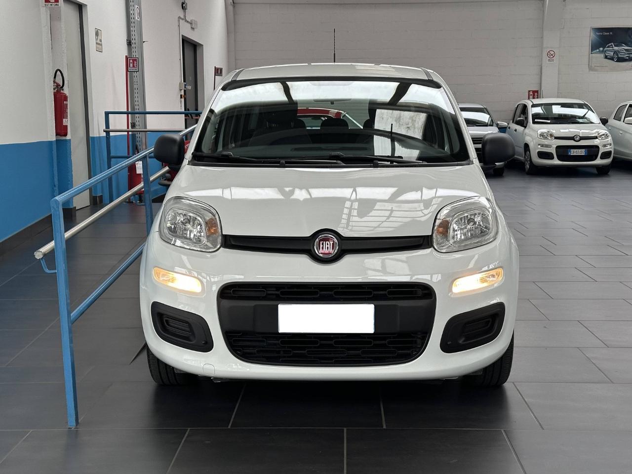FIAT Panda 1.2 Easy OK PER NEOPATENTATI