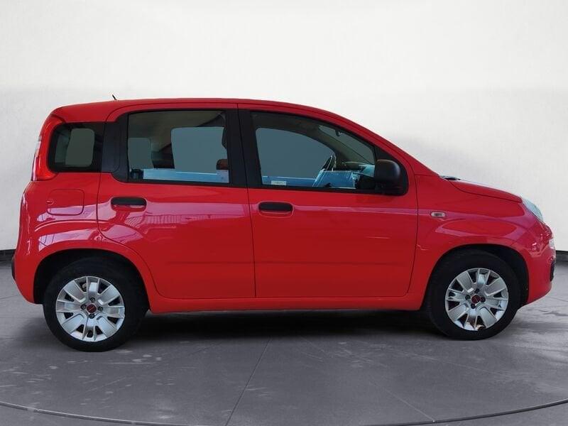 FIAT Panda 1.2 69cv E6 Easy